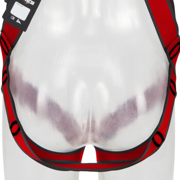 3M1161730保泰特P200五點(diǎn)全身式安全帶M/L紅色圖片1