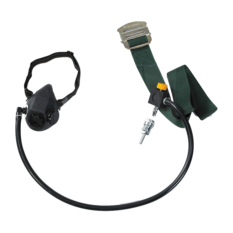 藍(lán)鷹NP375長管呼吸器送風(fēng)口罩圖片1