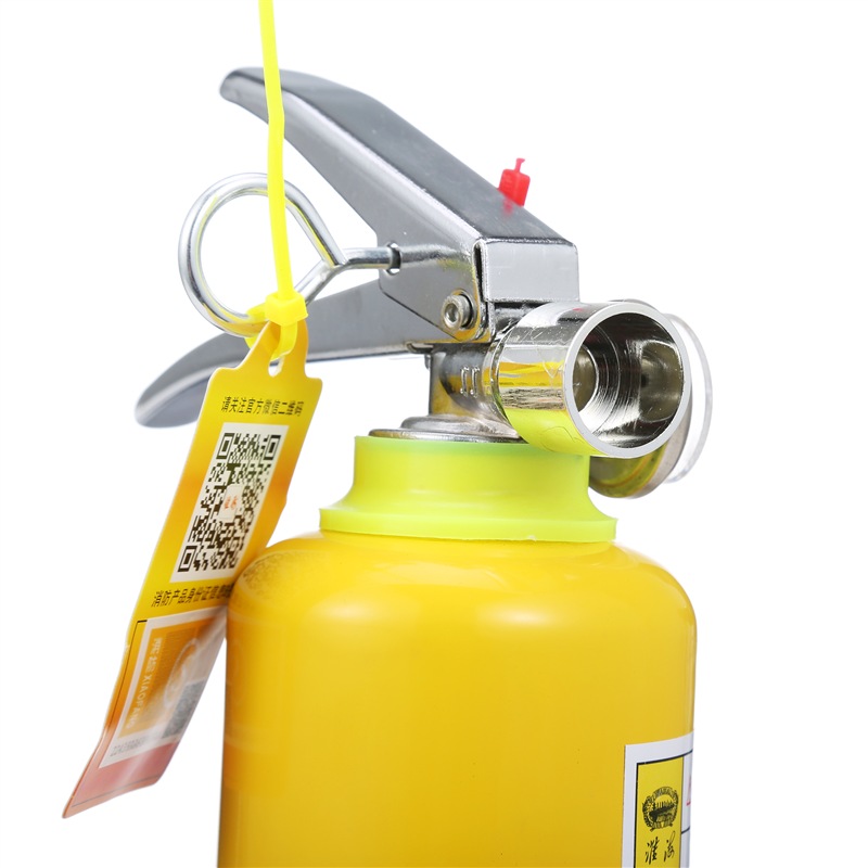 淮海MSWJ500水基車(chē)載滅火器圖片2