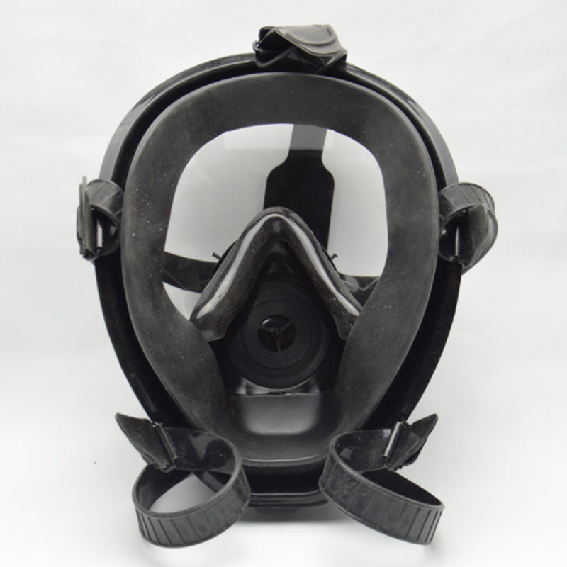 生寶M600防毒面具圖片2
