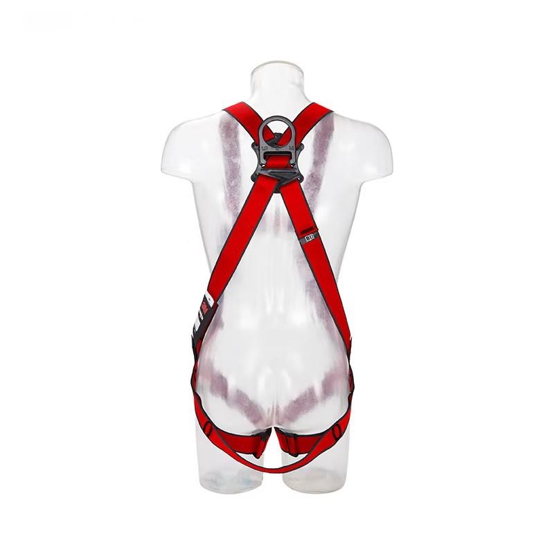 3M1161729保泰特P200五點(diǎn)式全身式安全帶圖片1