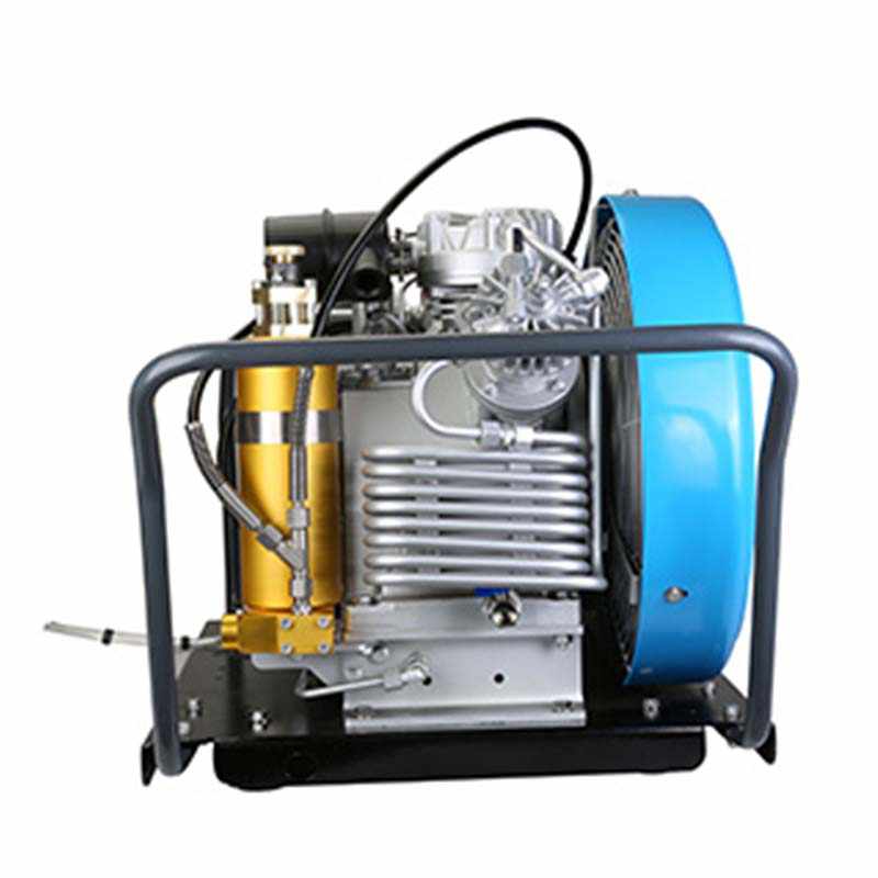 寶恩BBC-200P呼吸空氣填充泵-臥式可移動(dòng)簡(jiǎn)易款圖片2