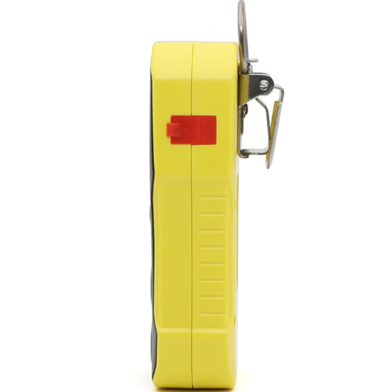 保時(shí)安BH-4A擴(kuò)散式多氣體檢測(cè)儀圖片2