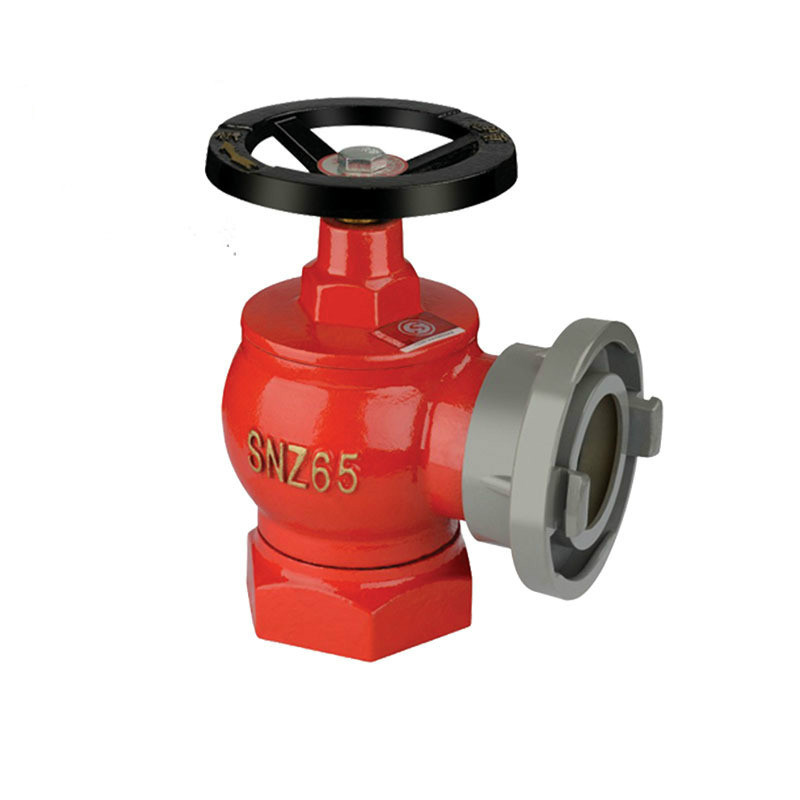 薪薪SNZ65旋轉(zhuǎn)型室內(nèi)消火栓