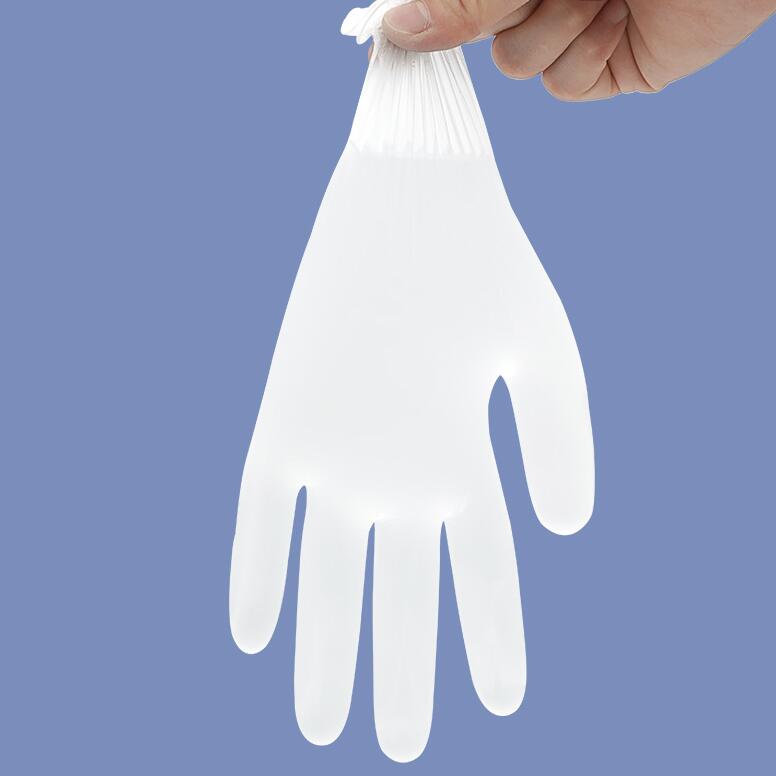 穩(wěn)健604-009034一次性PVC手套