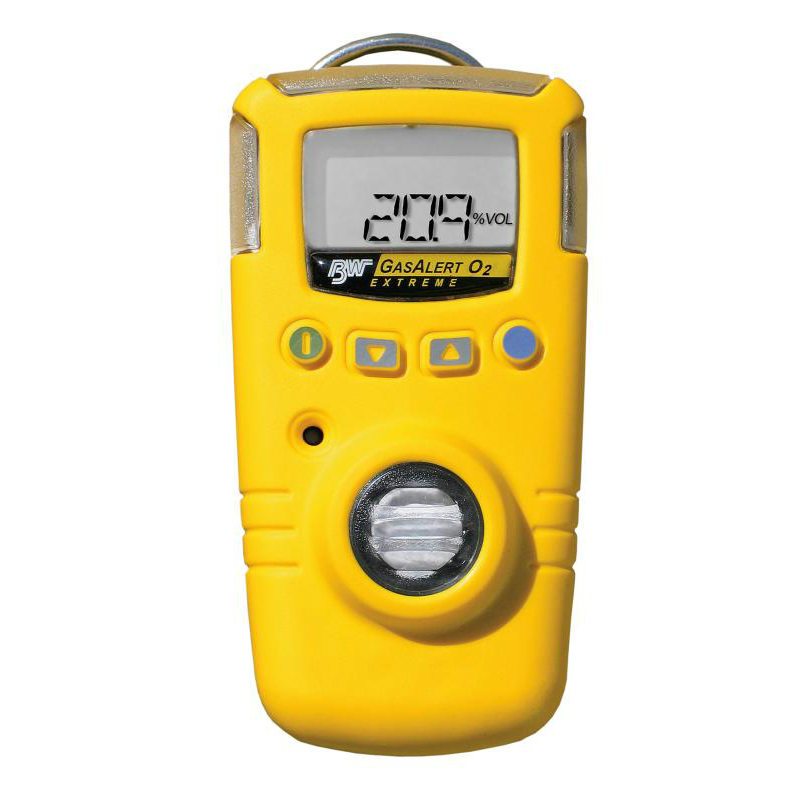 BW GAXT-D-DL便攜式單一二氧化氮?dú)怏w檢測(cè)儀