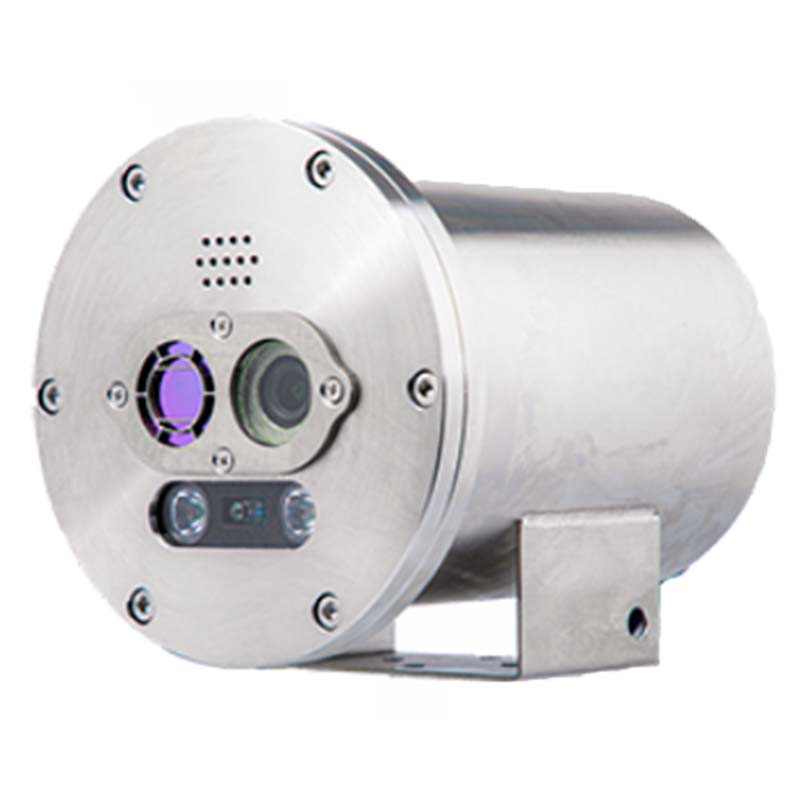 大立DLD-EXS313雙光譜防爆型測(cè)溫槍機(jī)