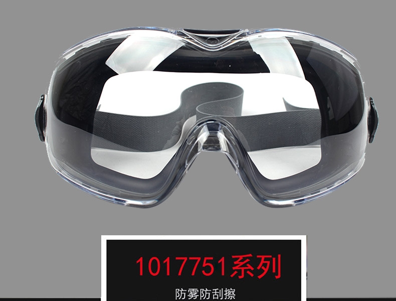 Honeywell霍尼韋爾1017751 D-Maxx防霧防刮擦防沖擊護(hù)目鏡圖片1