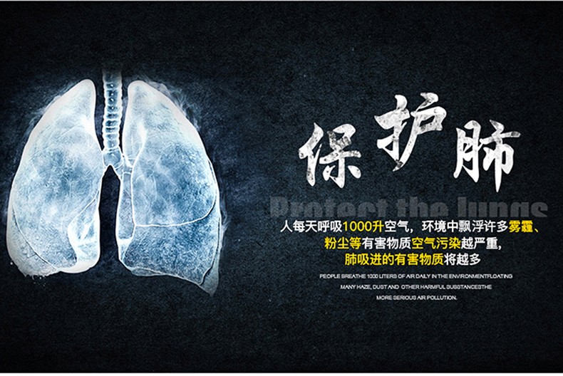 普達(dá)MJ-4006防毒全面具圖5