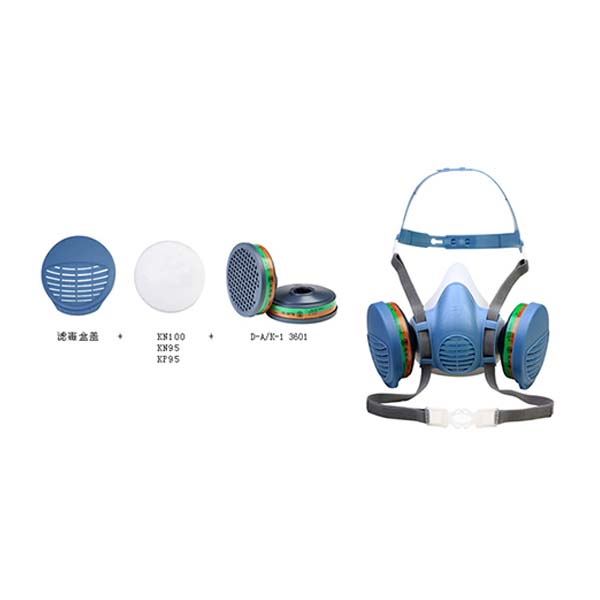 寶順安3601+2201防塵毒面具