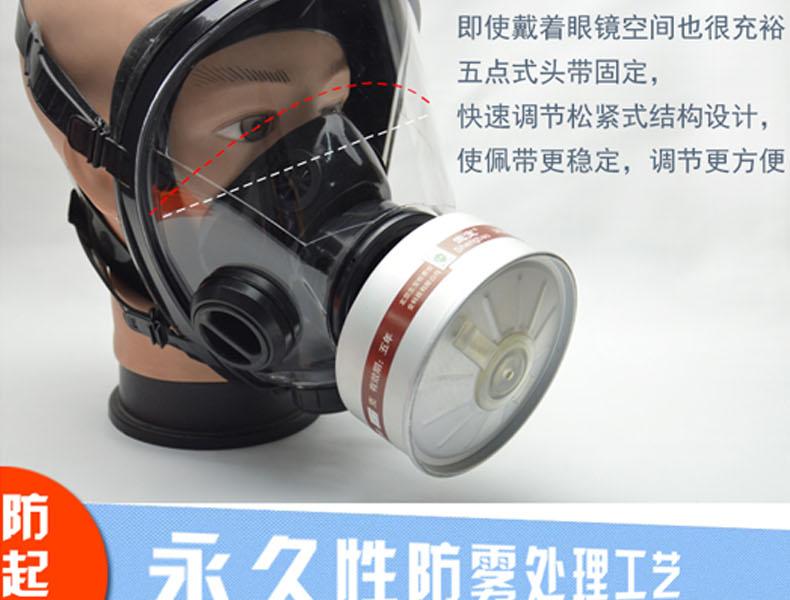 生寶M600防毒面具圖片7
