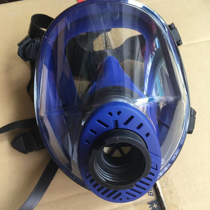 藍(lán)鷹TR2002全面罩防毒面具圖片12