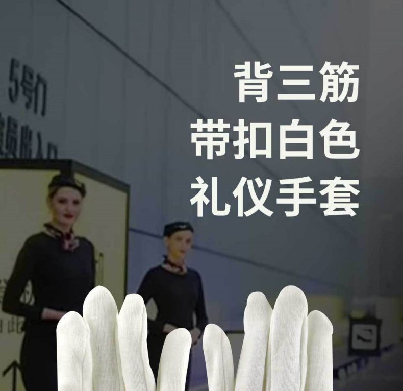 漢盾HD-GP5508純棉背三筋帶扣白色禮儀勞保手套1