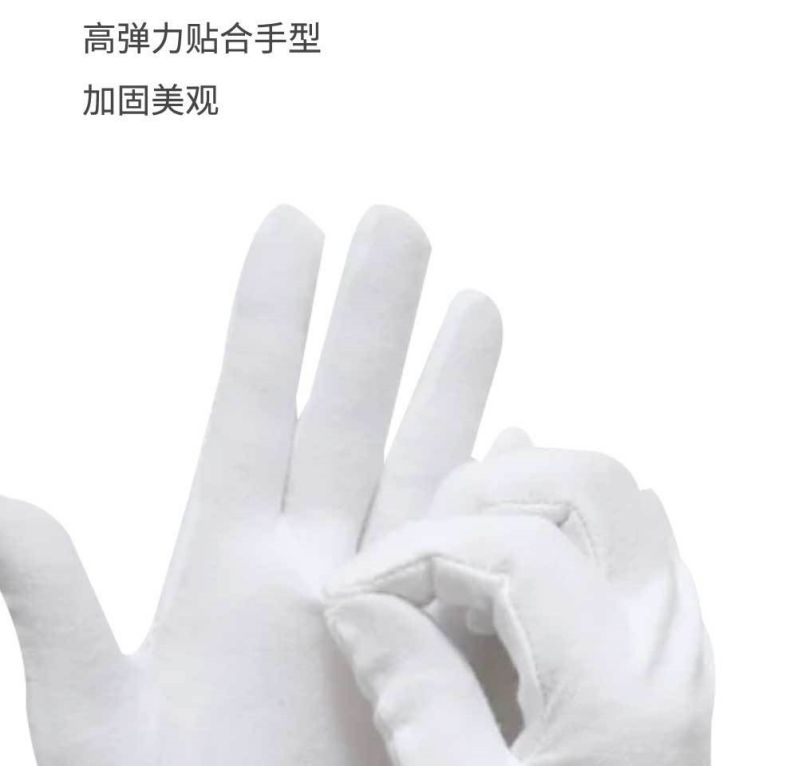 漢盾HD-GP5503滌棉白色禮儀勞保手套5