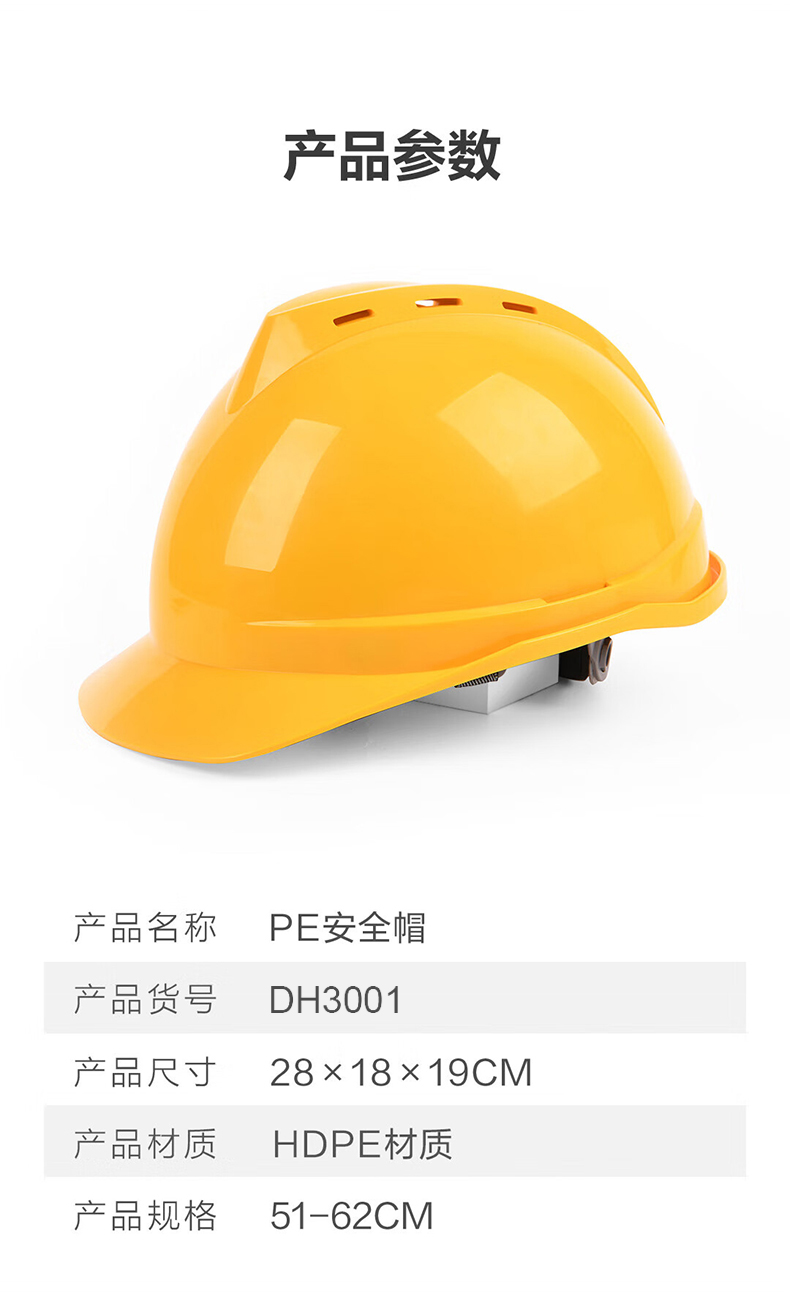 定和DH3001經(jīng)典款帶孔V型PE安全帽9