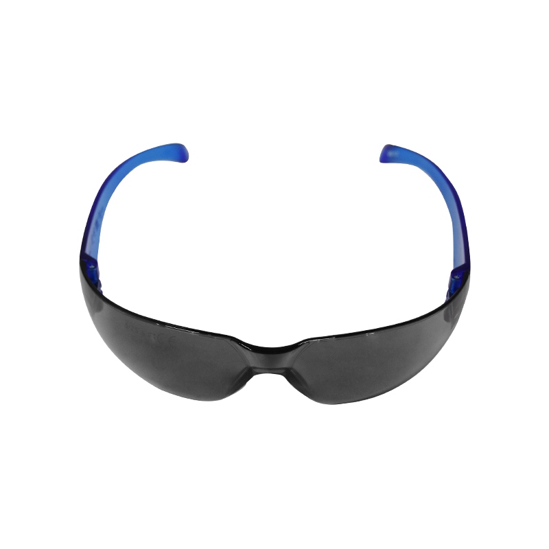 代爾塔101108防護(hù)眼鏡藍(lán)色圖2